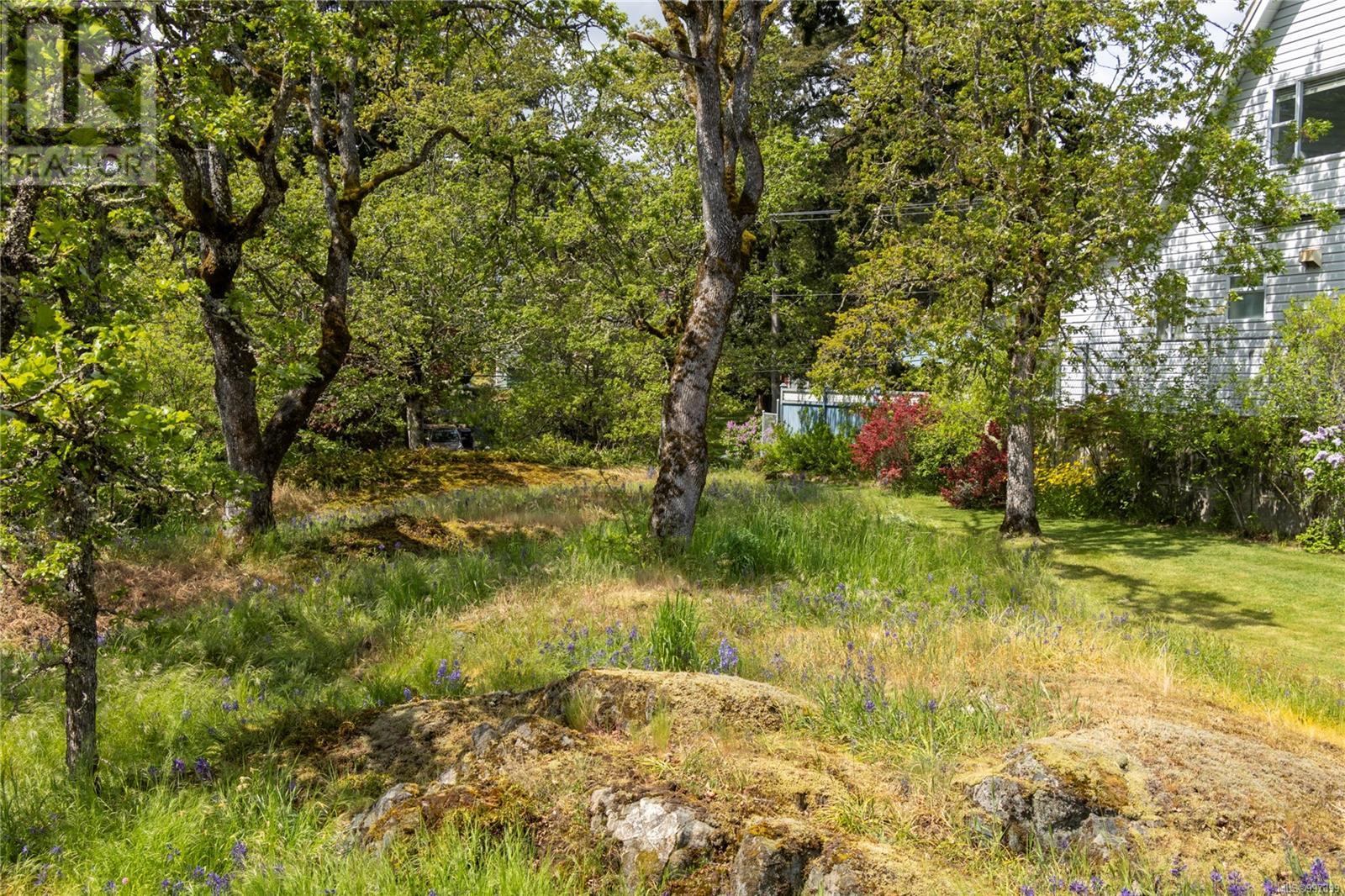 3815 Wilkinson Rd, Saanich
