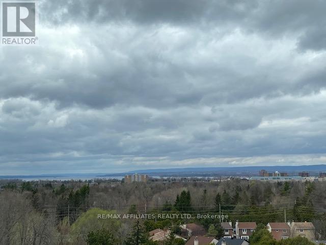View of Ottawa River & Gatineau Hills from unit!