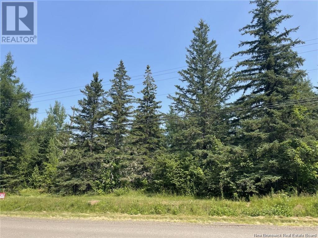 Photo 1 of Lot 77 1 Route 134, Sainteannedekent NB