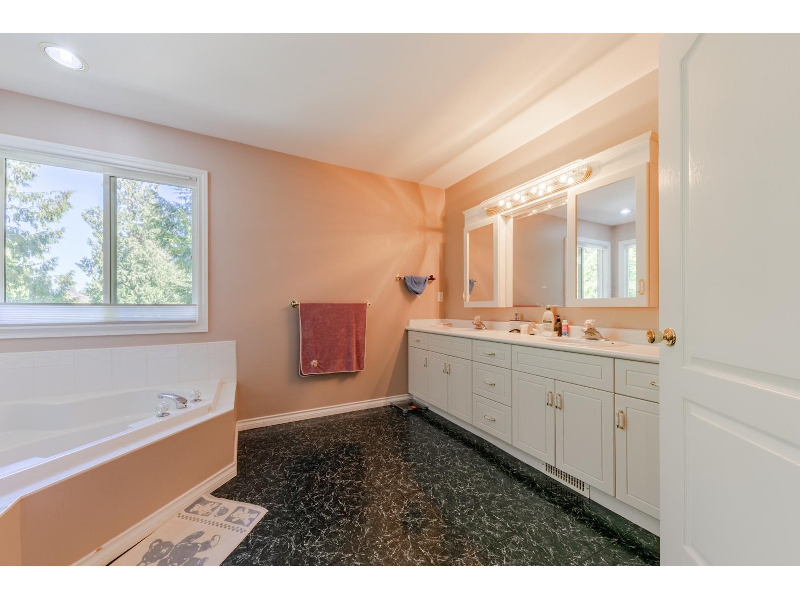 4308 209 STREET, Langley real estate listing R2997570