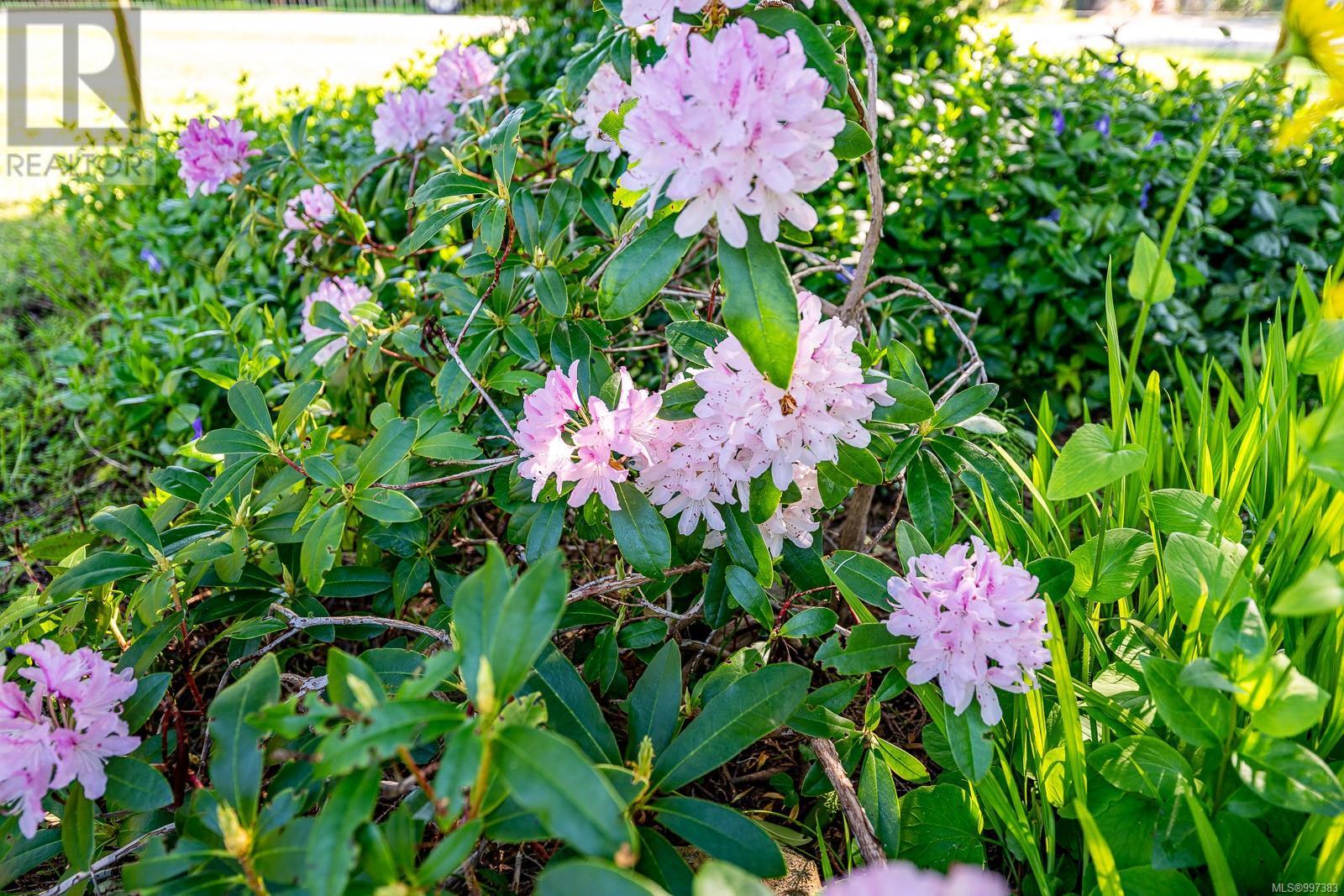 1495 Baikie Rd, Denman Island