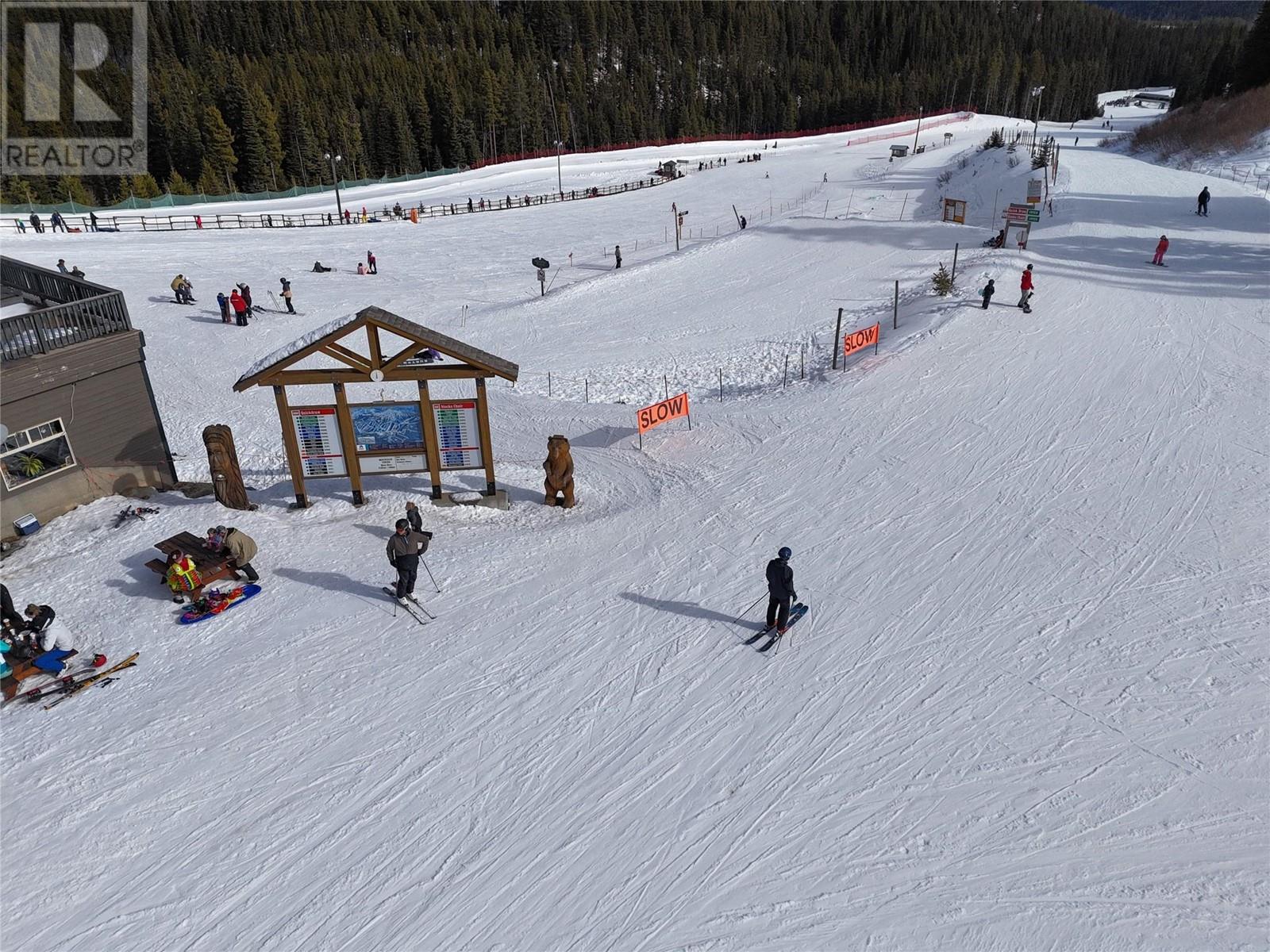 330 Strayhorse Road Unit# 205, Apex Mountain