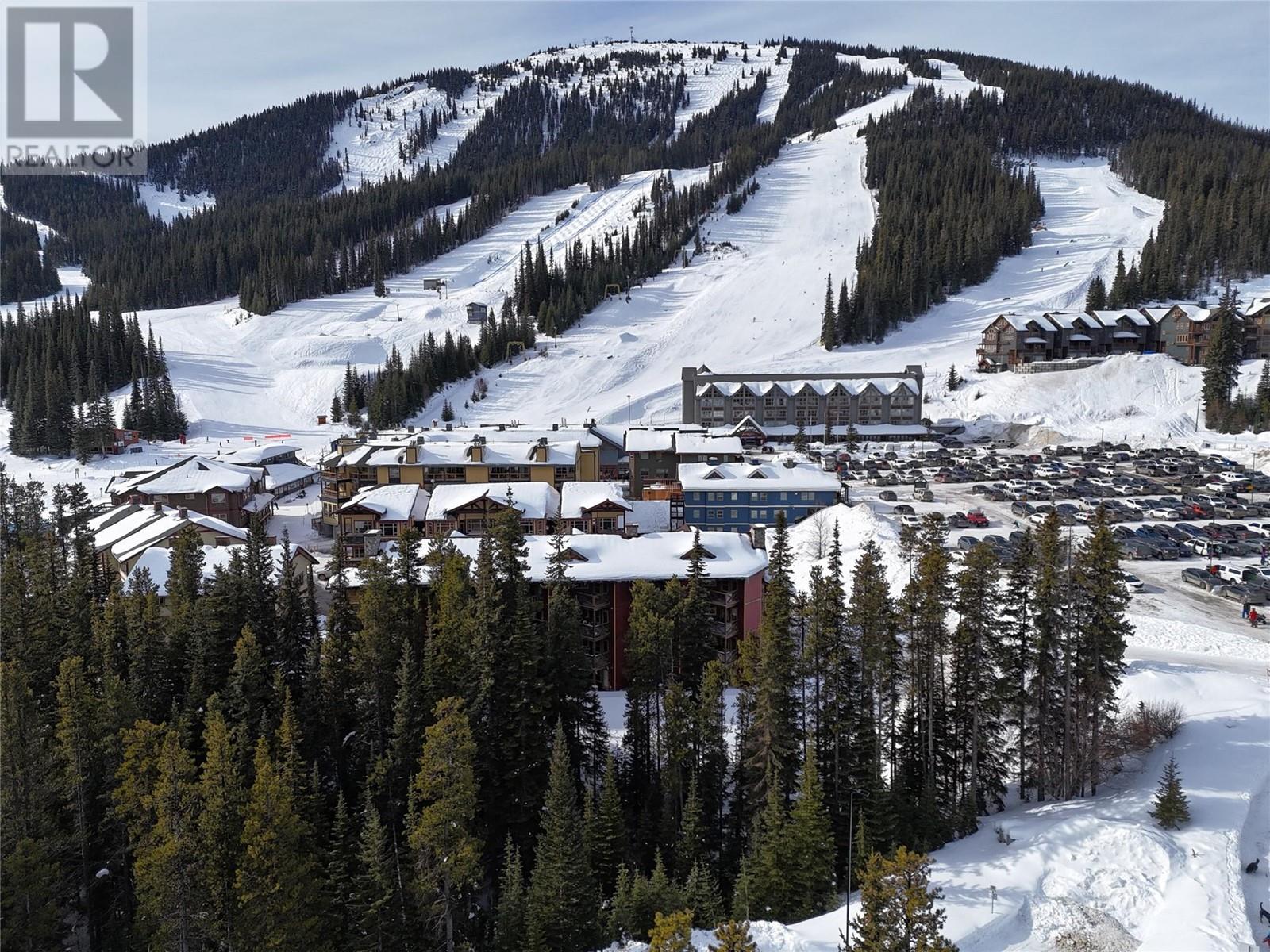 330 Strayhorse Road Unit# 205, Apex Mountain