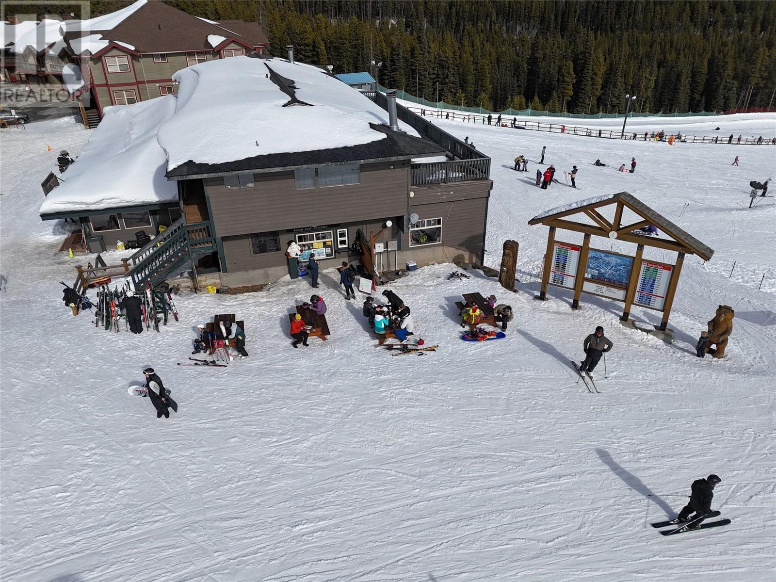 330 Strayhorse Road, Apex Mountain - Exteriors - Photo 11