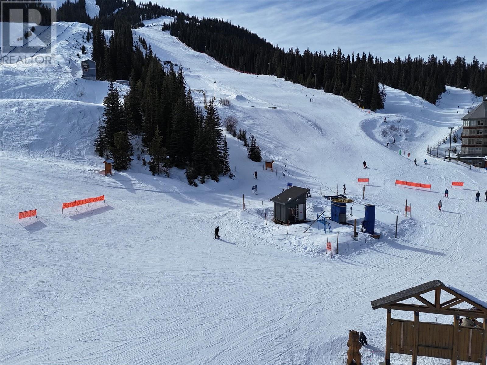 330 Strayhorse Road Unit# 205, Apex Mountain