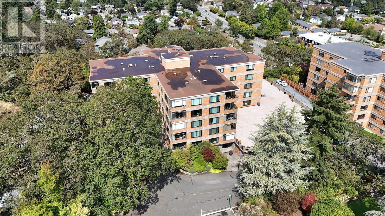 404 2920 COOK Street, Victoria