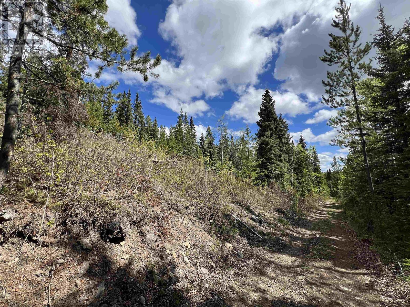 DL 2466 TCHESINKUT LAKE, Burns Lake