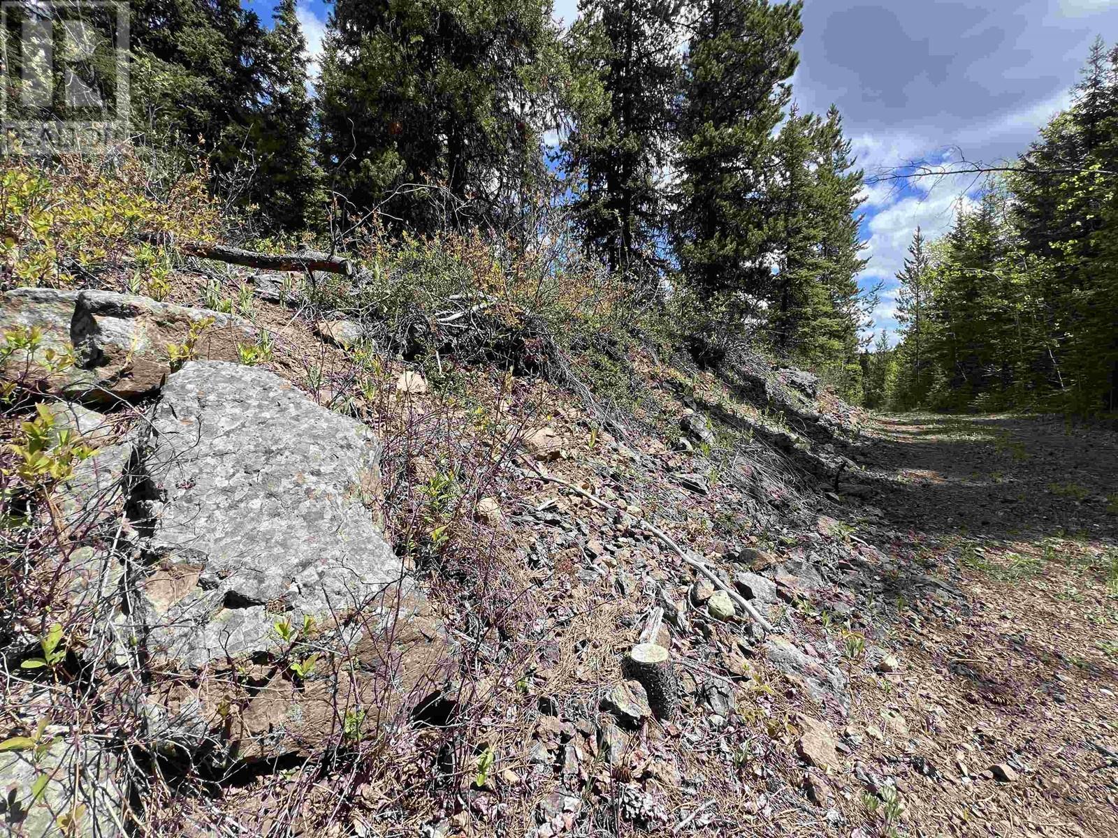 DL 2466 TCHESINKUT LAKE, Burns Lake