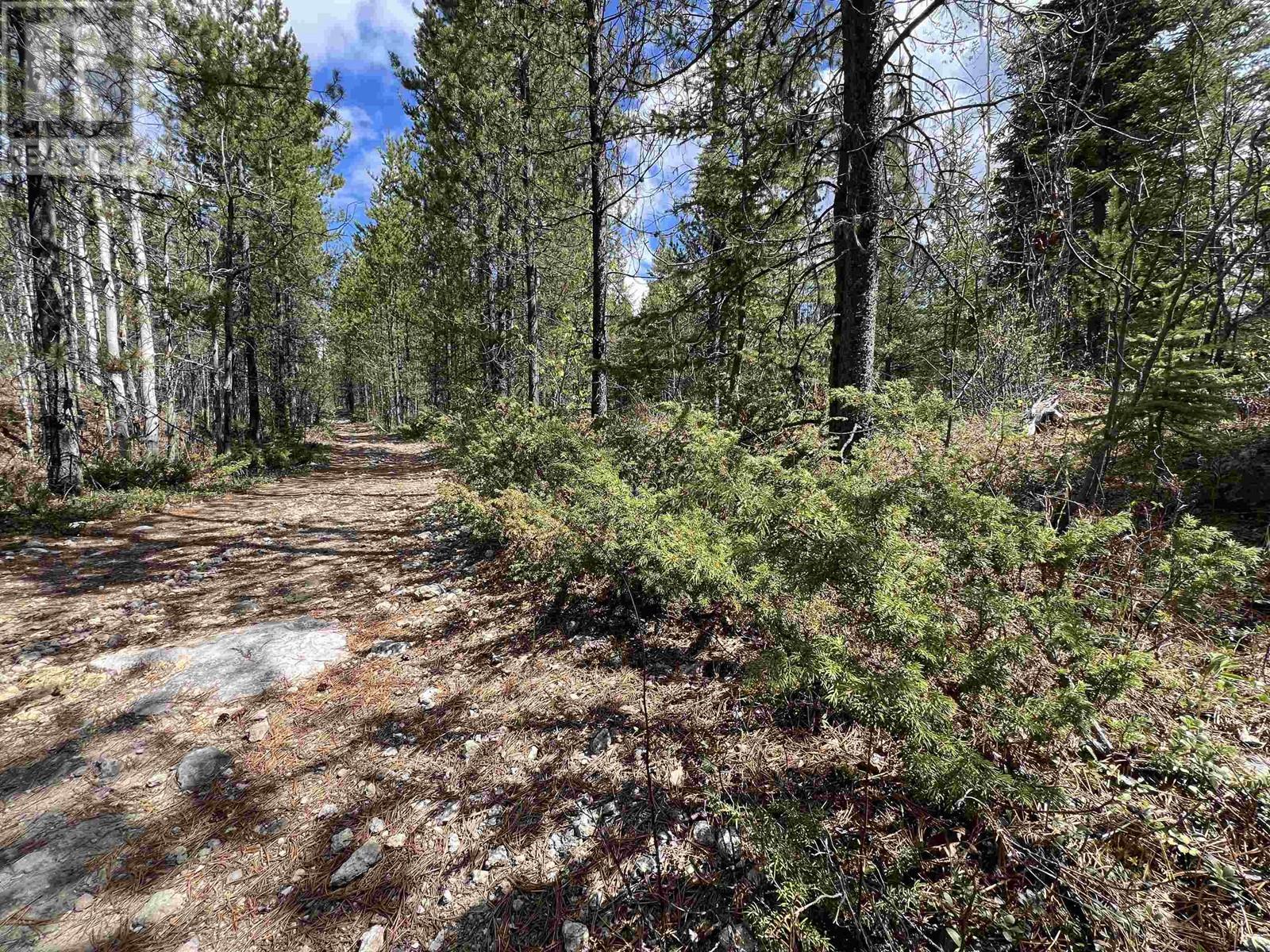 DL 2466 TCHESINKUT LAKE, Burns Lake