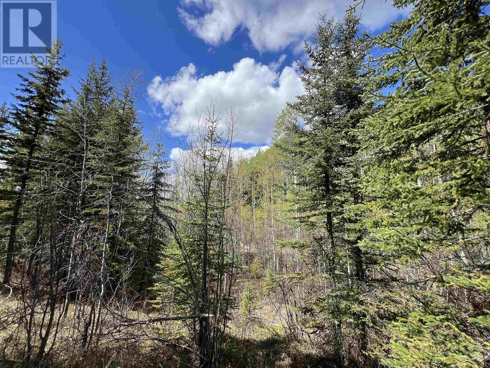 DL 2466 TCHESINKUT LAKE, Burns Lake