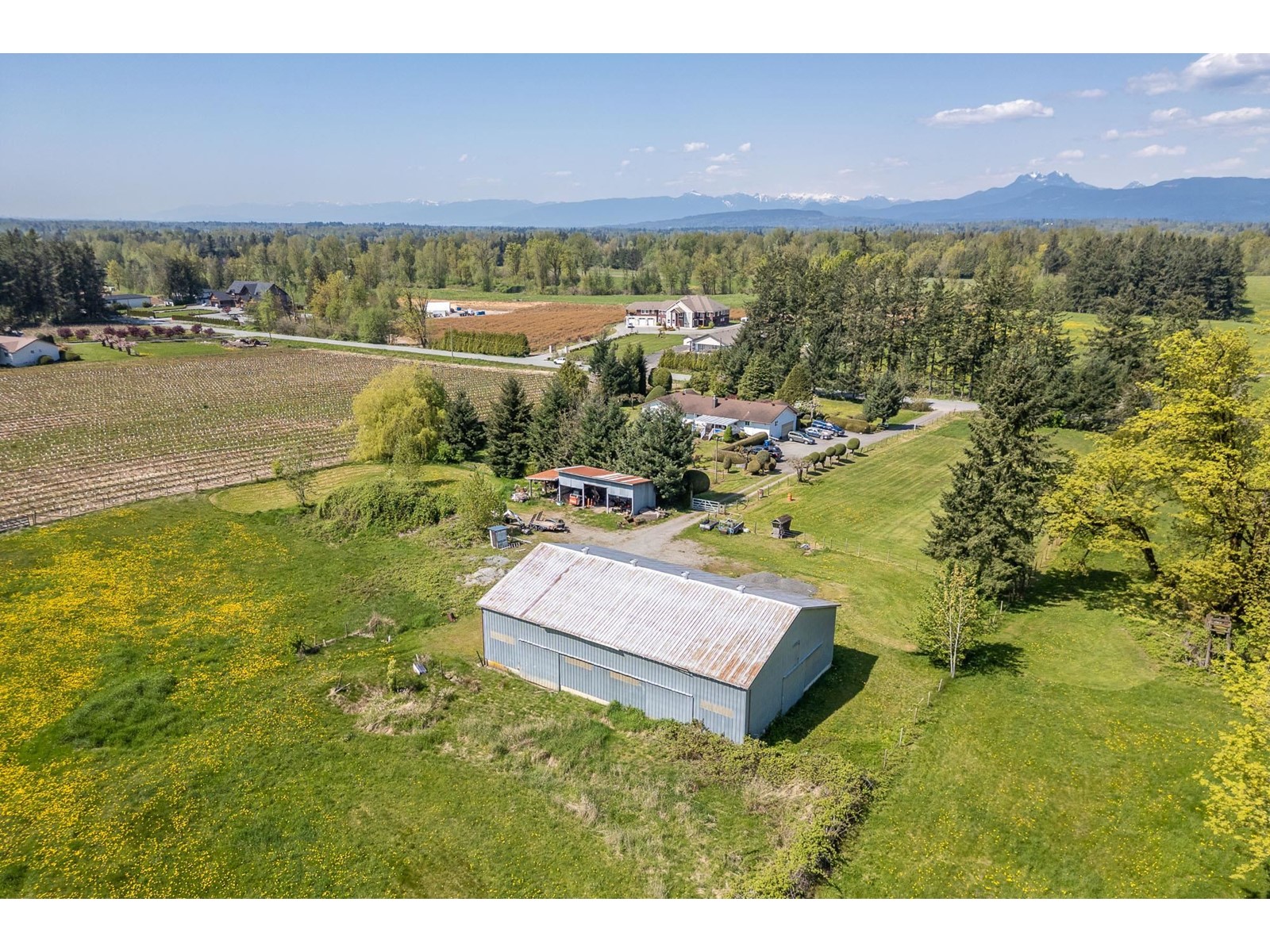Photo 10 of 29224 Downes Road, Abbotsford BC
