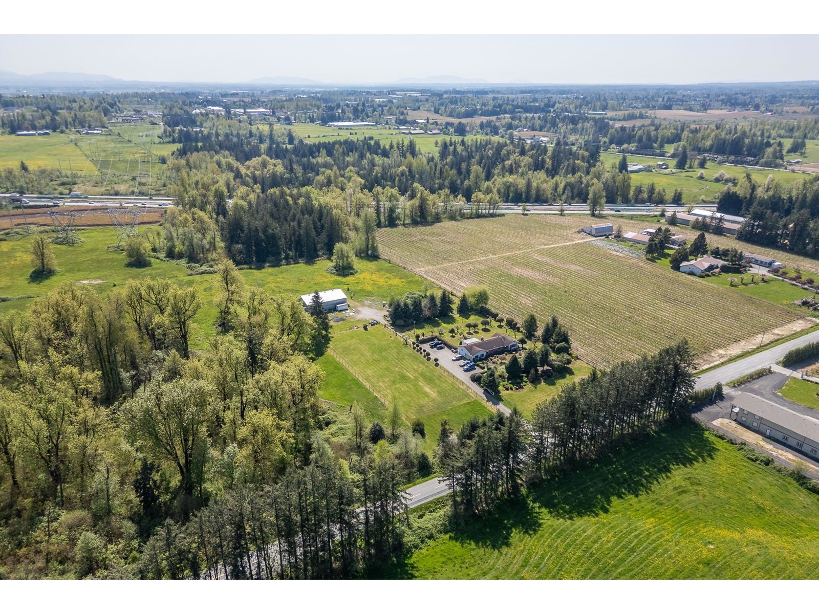 Photo 5 of 29224 Downes Road, Abbotsford BC