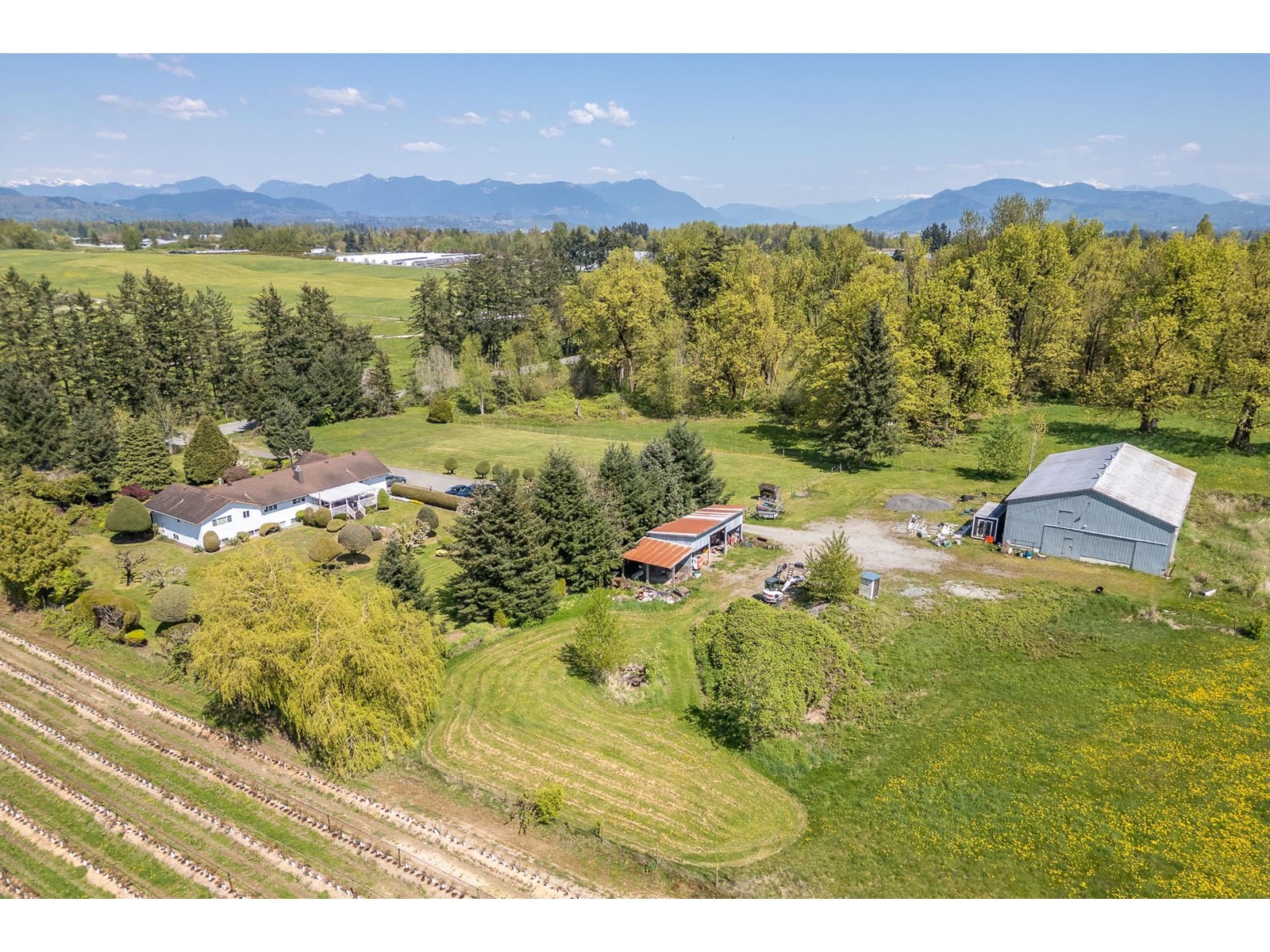 Photo 11 of 29224 Downes Road, Abbotsford BC