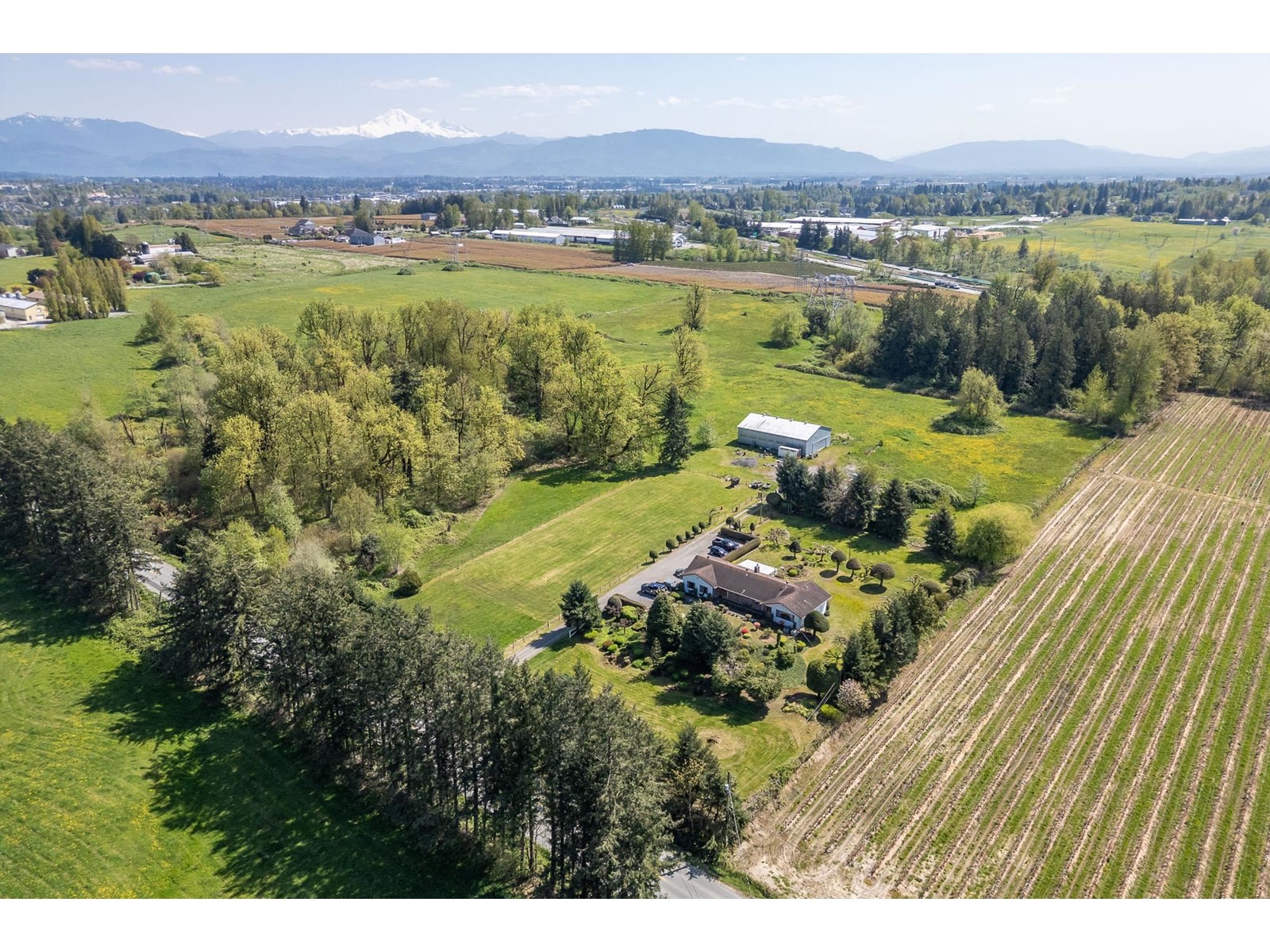Photo 8 of 29224 Downes Road, Abbotsford BC