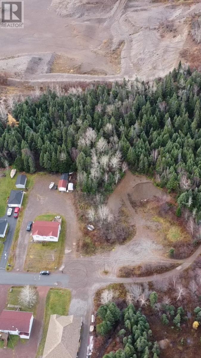 Photo 9 of 35 Aspen Drive, Northern Arm NL