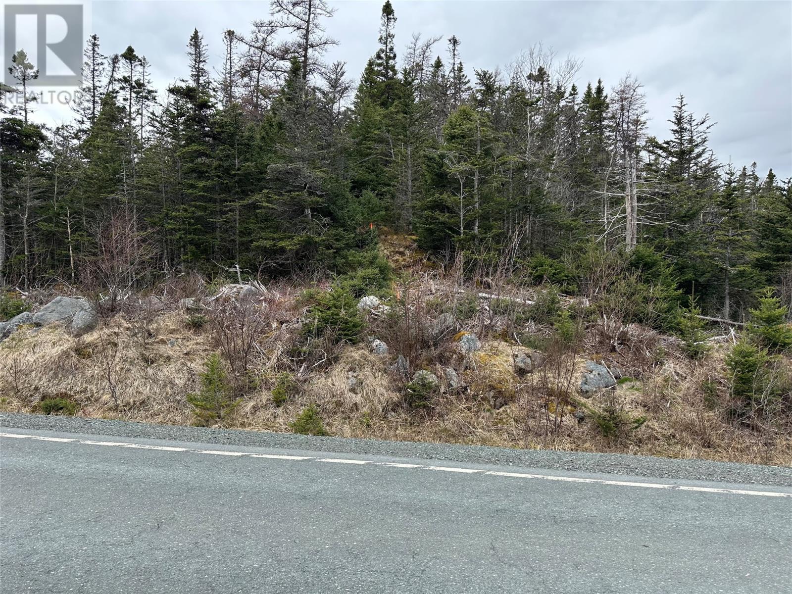 Photo 1 of 106 Liam Hickey Drive, Holyrood NL