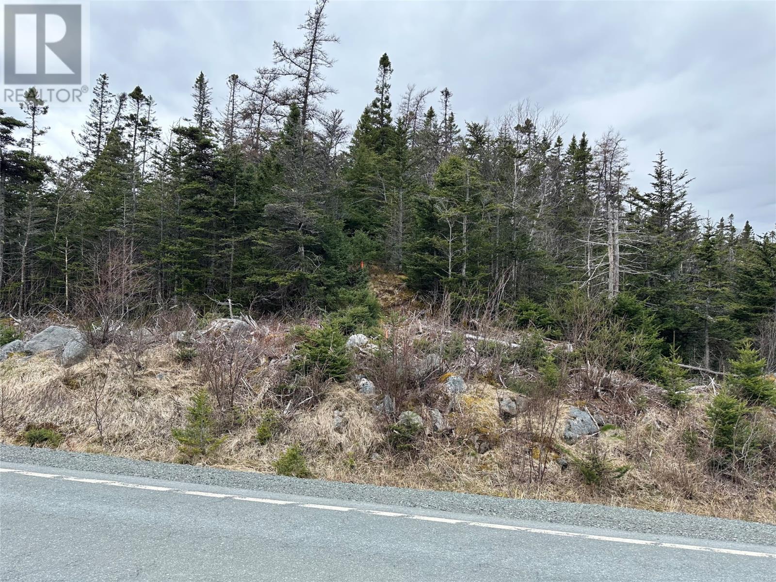 Photo 2 of 106 Liam Hickey Drive, Holyrood NL