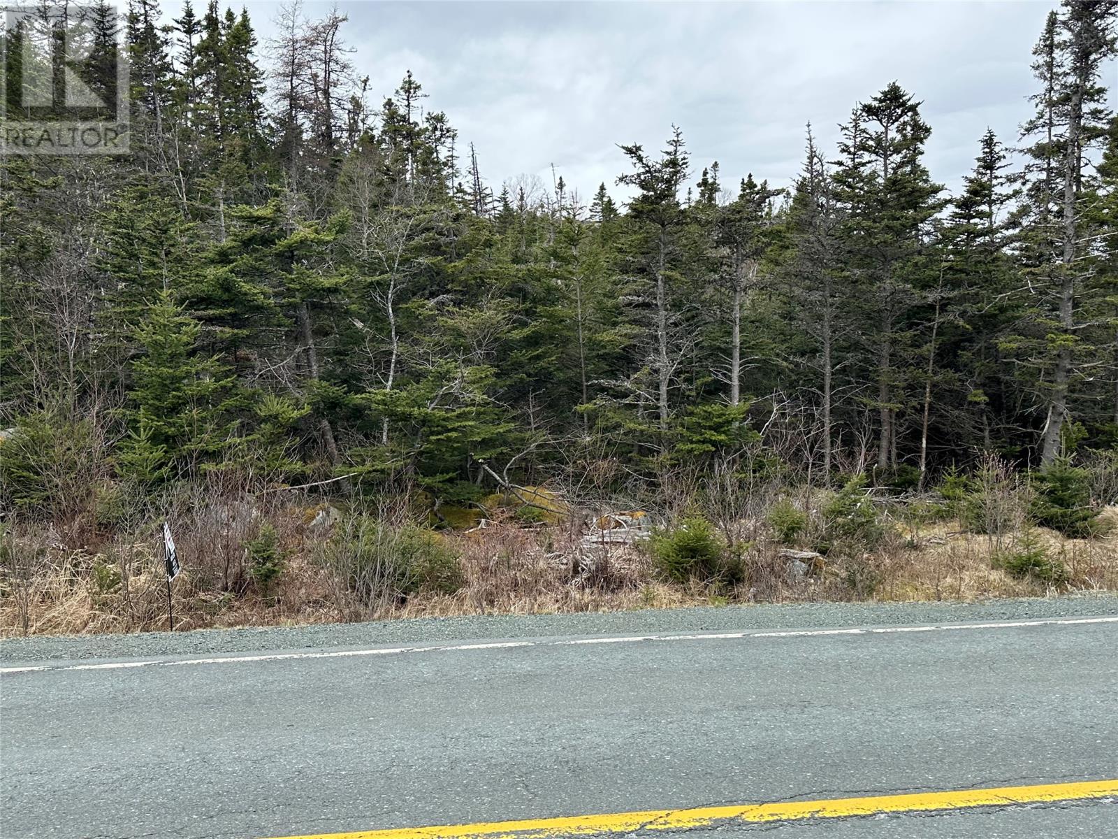 Photo 6 of 106 Liam Hickey Drive, Holyrood NL