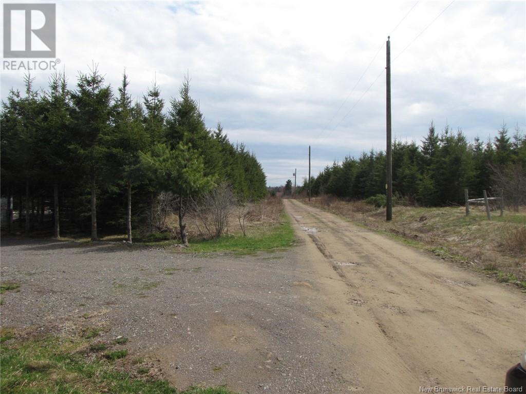 Photo 10 of 1356 Route 485, Saintpaul NB