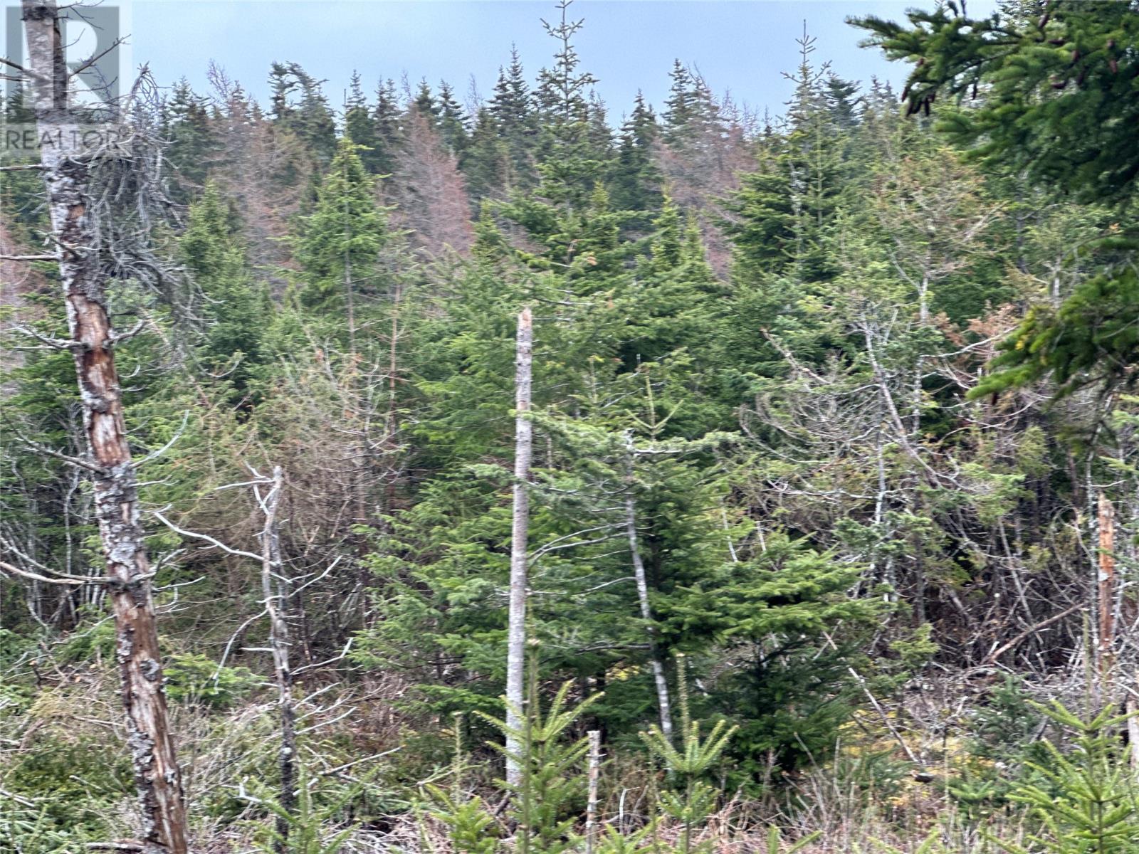 Photo 12 of 54 Ridge Road, Holyrood NL