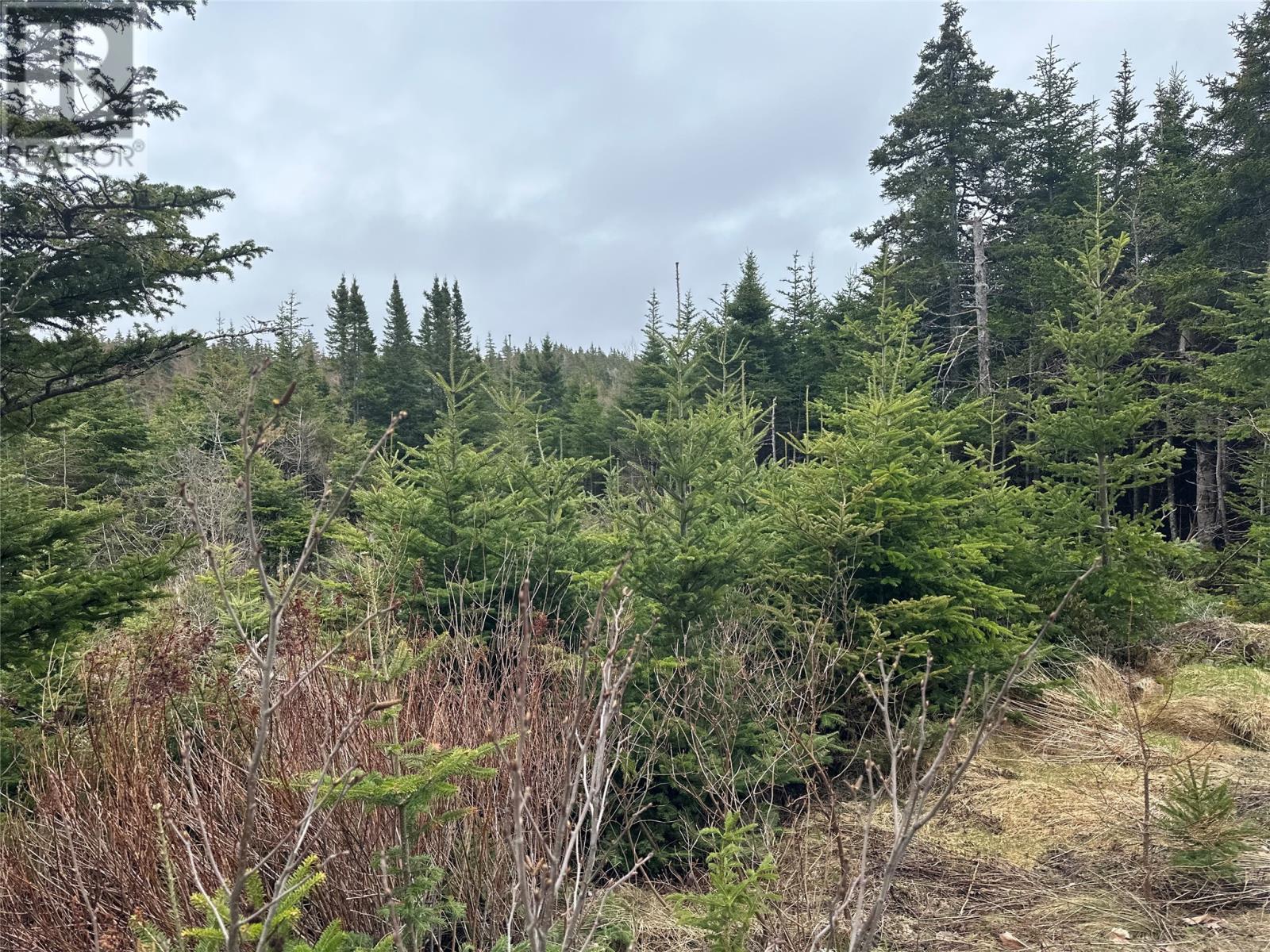 Photo 19 of 54 Ridge Road, Holyrood NL