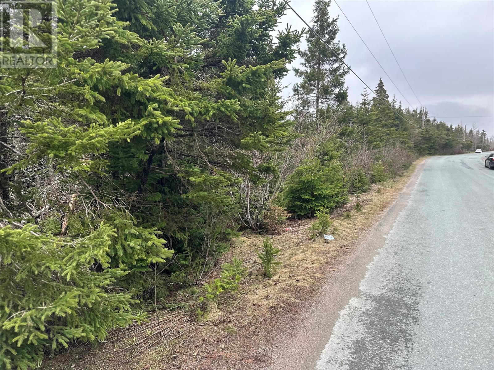 Photo 2 of 54 Ridge Road, Holyrood NL