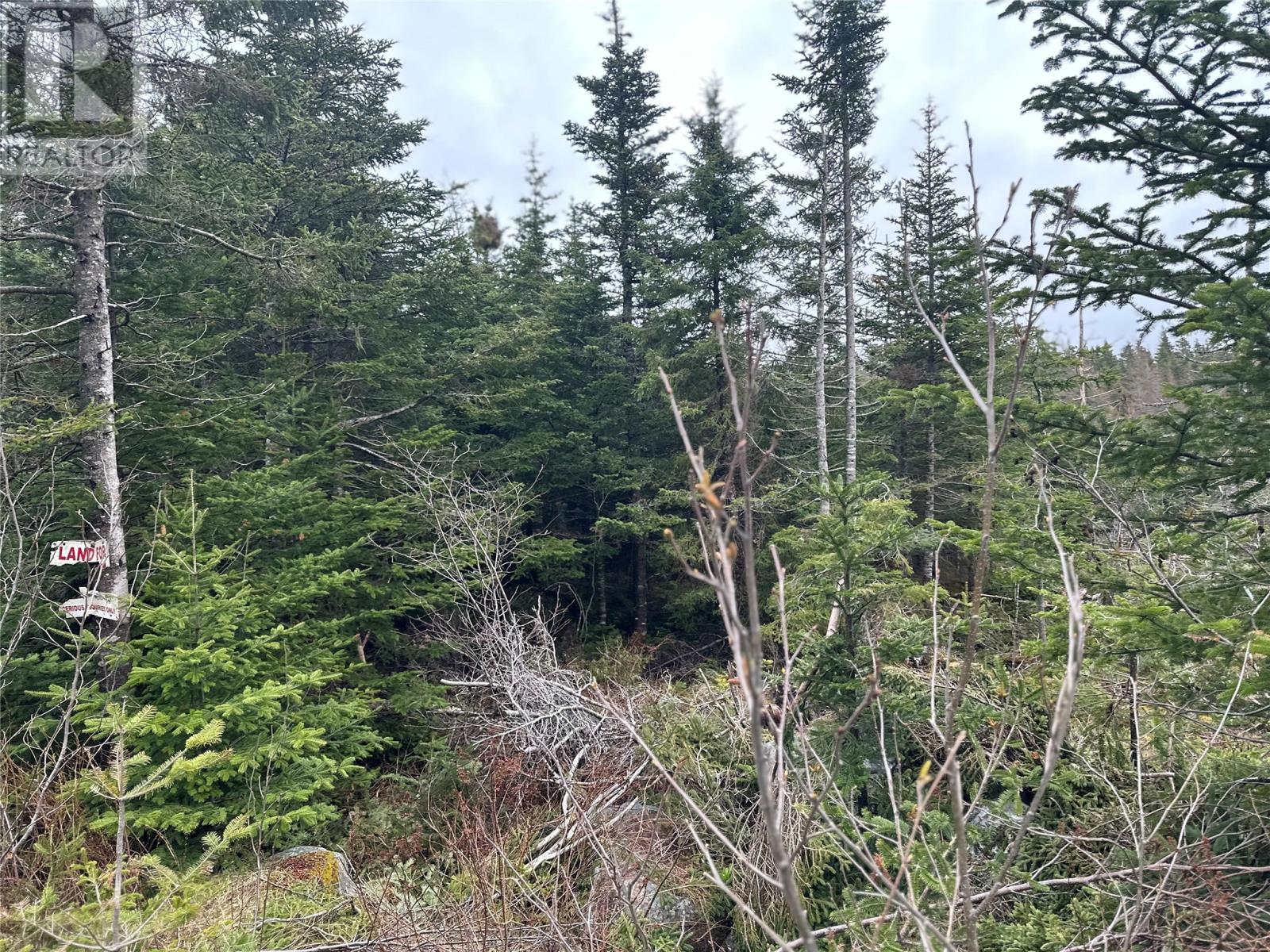 Photo 6 of 54 Ridge Road, Holyrood NL