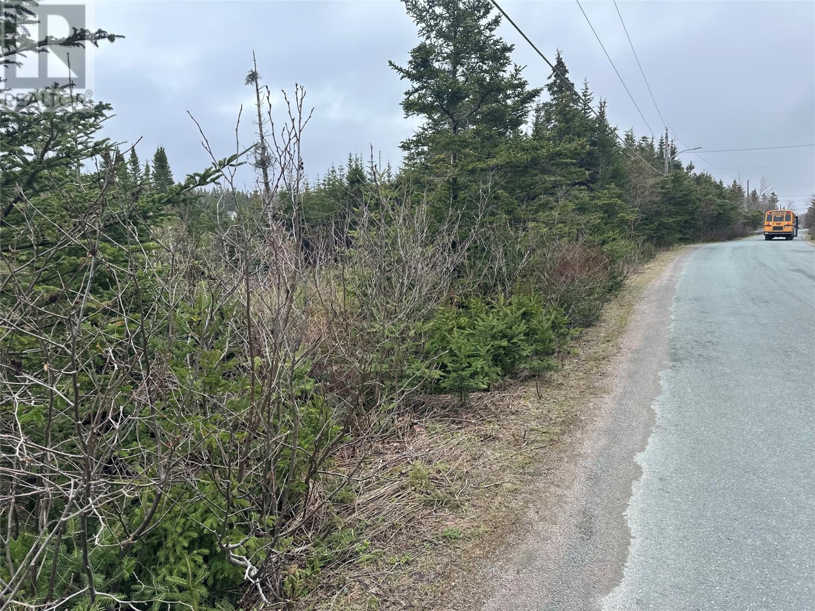 Photo 8 of 54 Ridge Road, Holyrood NL