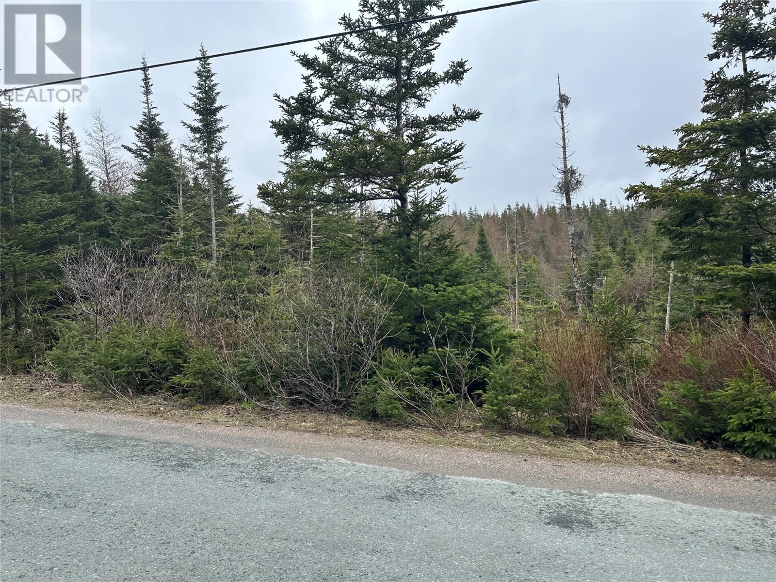 Photo 9 of 54 Ridge Road, Holyrood NL