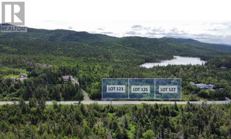 Photo 1 of 121 Salmonier Line, Holyrood NL