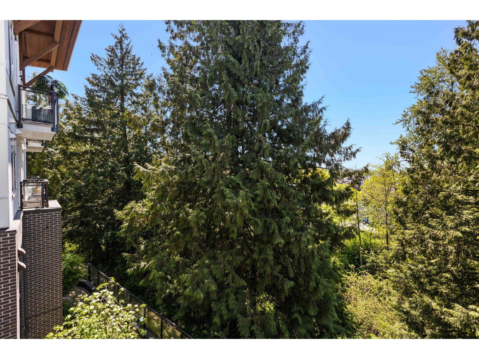 Photo 21 of 311 5415 Brydon Crescent, Langley BC