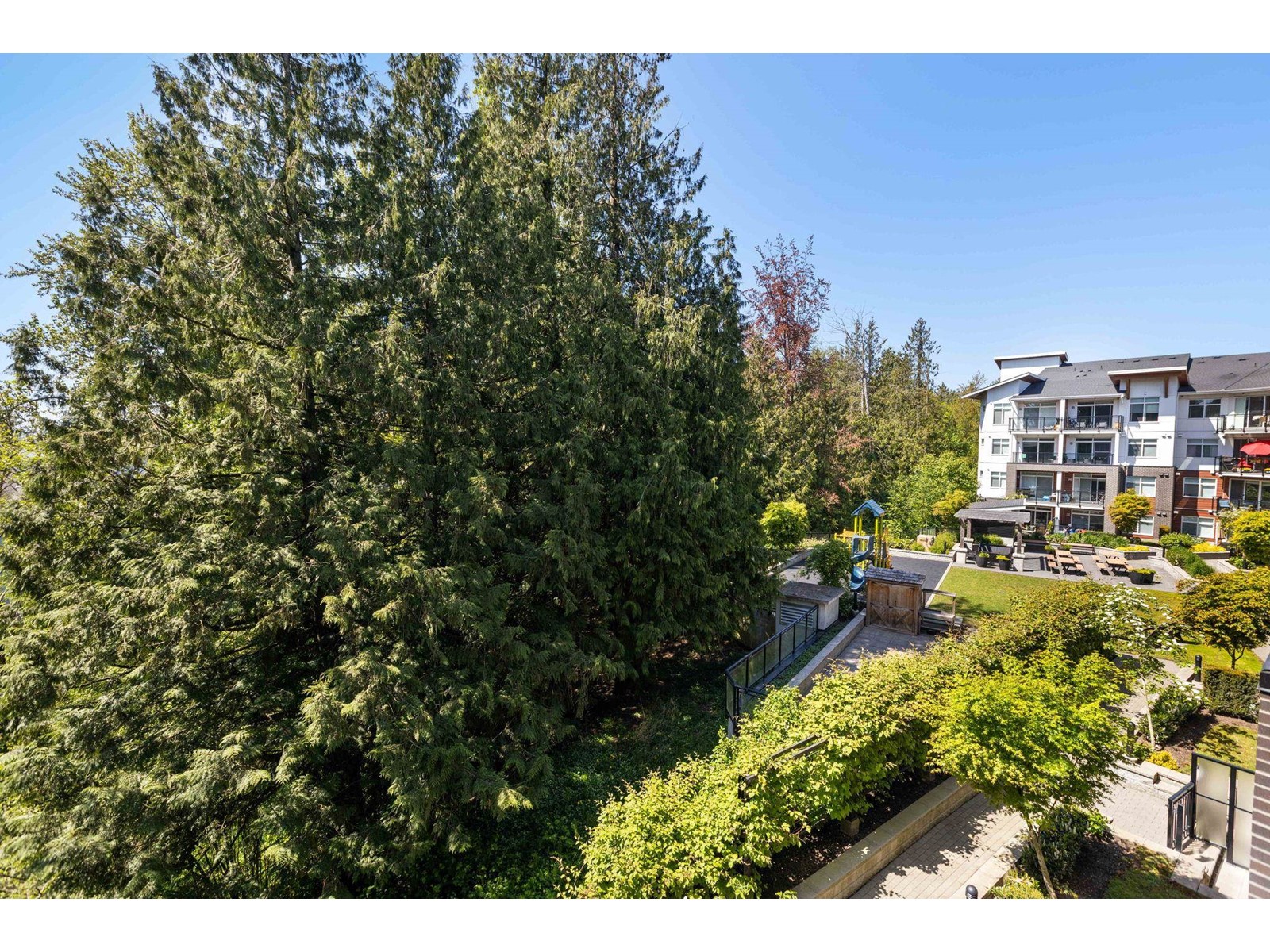 Photo 22 of 311 5415 Brydon Crescent, Langley BC