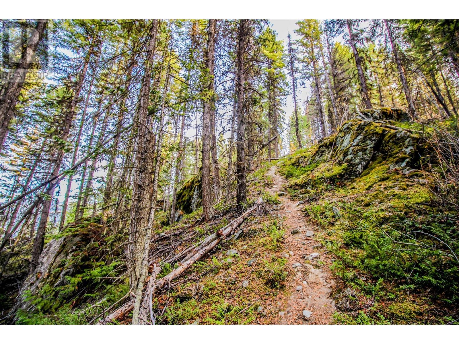 5319 EAST BARRIERE LAKE FS Road, Barriere