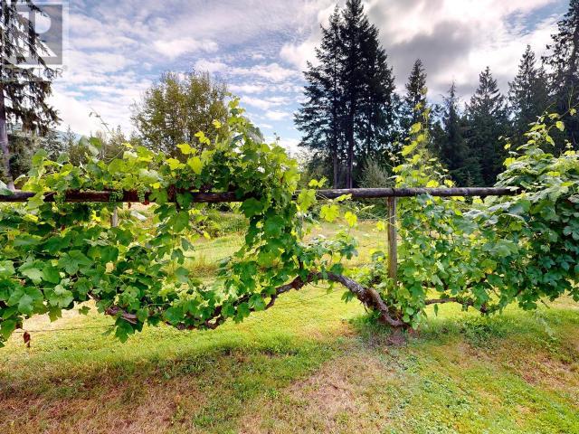 12328 HIGHWAY 101, Powell River