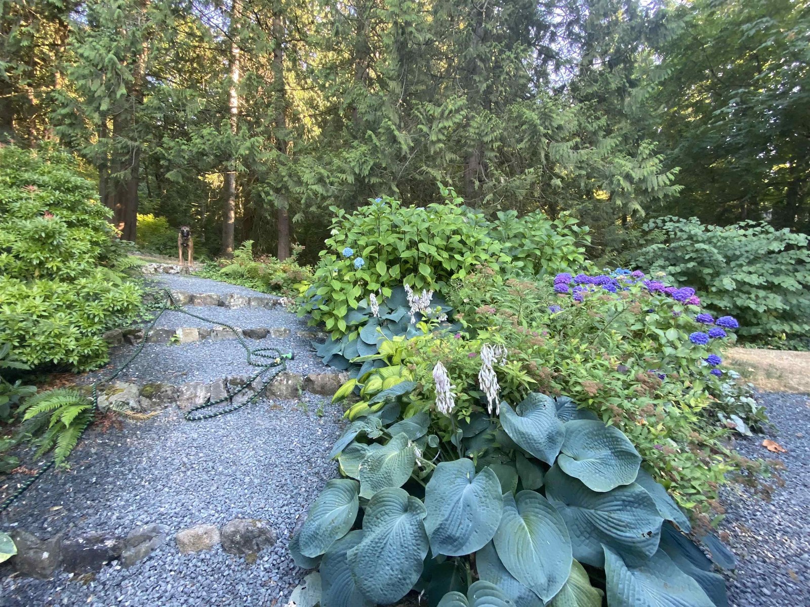 Photo 7 of 42602 Majuba Hill Road Majuba Hill, Yarrow BC