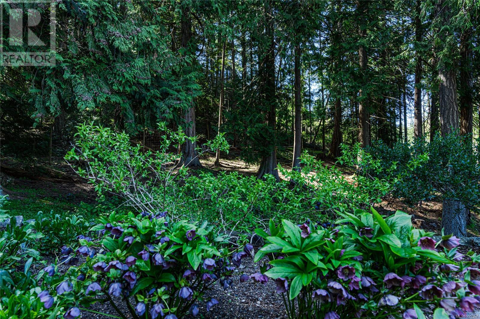 234 Wilkie Way, Salt Spring