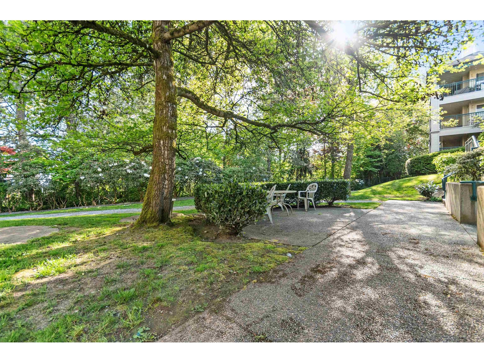 Photo 33 of 202 19528 Fraser Highway, Surrey BC
