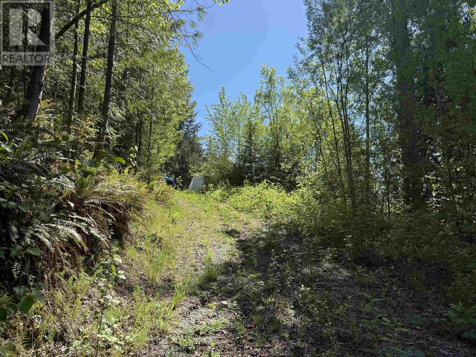 Photo 5 of 12305 270 Street, Maple Ridge BC