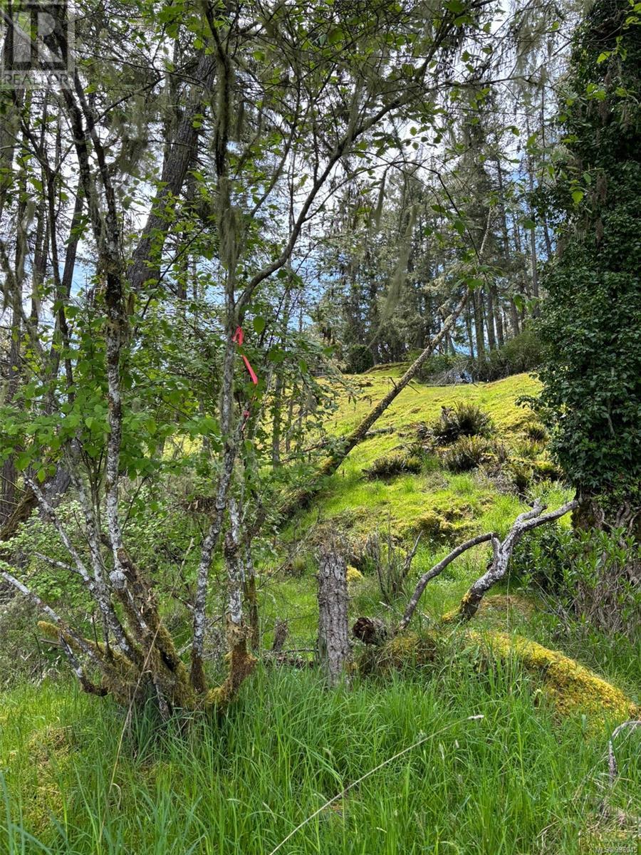 Lot 13 Seagirt Rd, Sooke