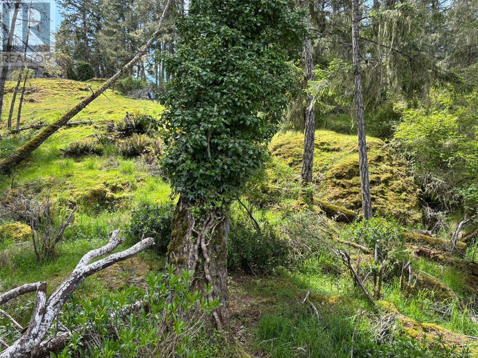 Lot 13 Seagirt Rd, Sooke