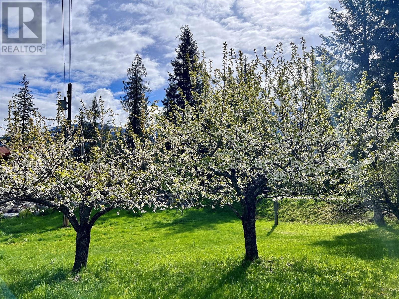 9898 Old Spallumcheen Road, Sicamous