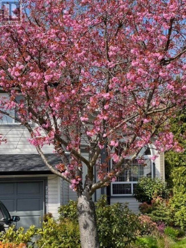 22080 CHALDECOTT DRIVE, Richmond