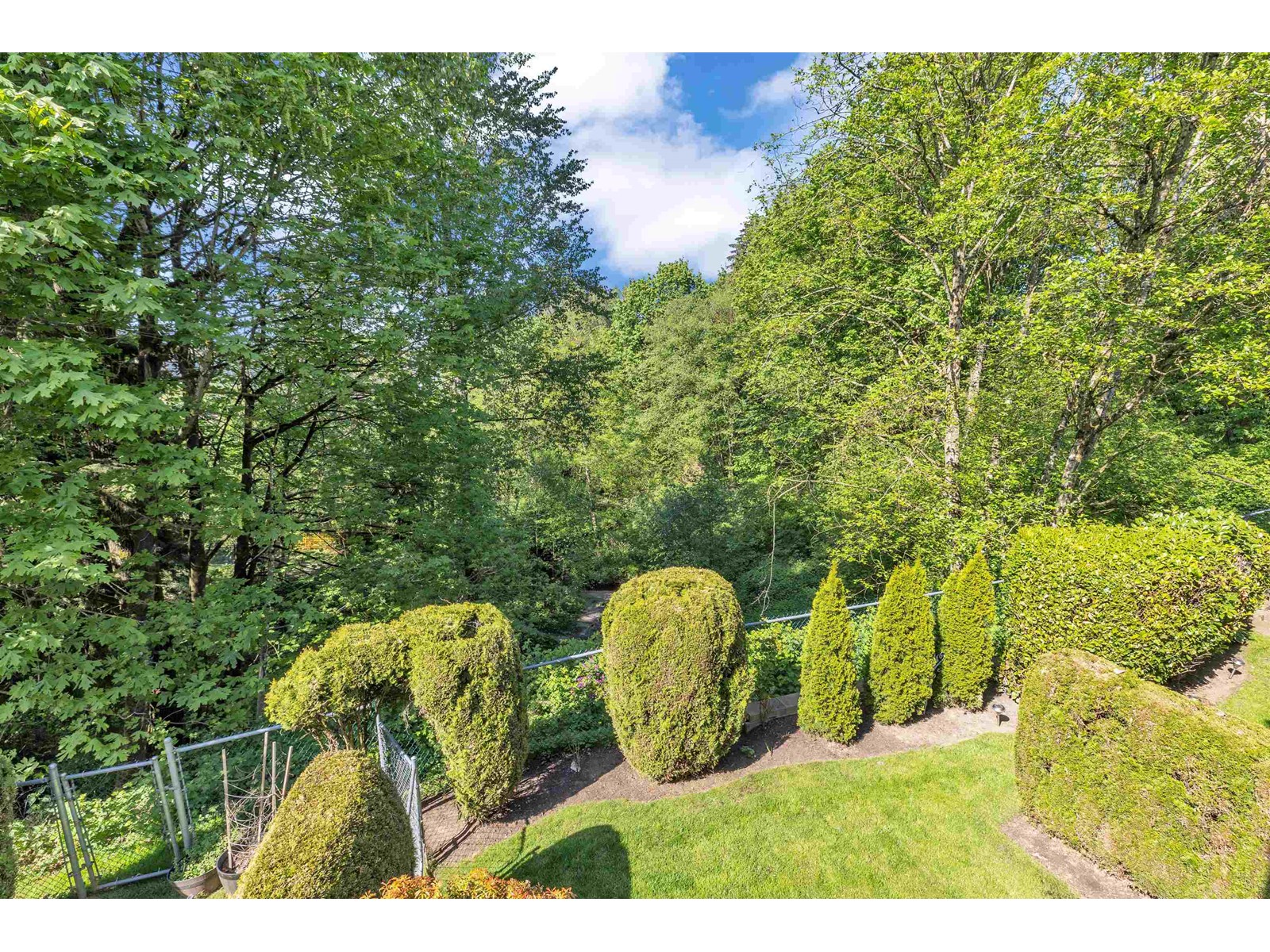 Photo 12 of 34 2962 Nelson Place, Abbotsford BC