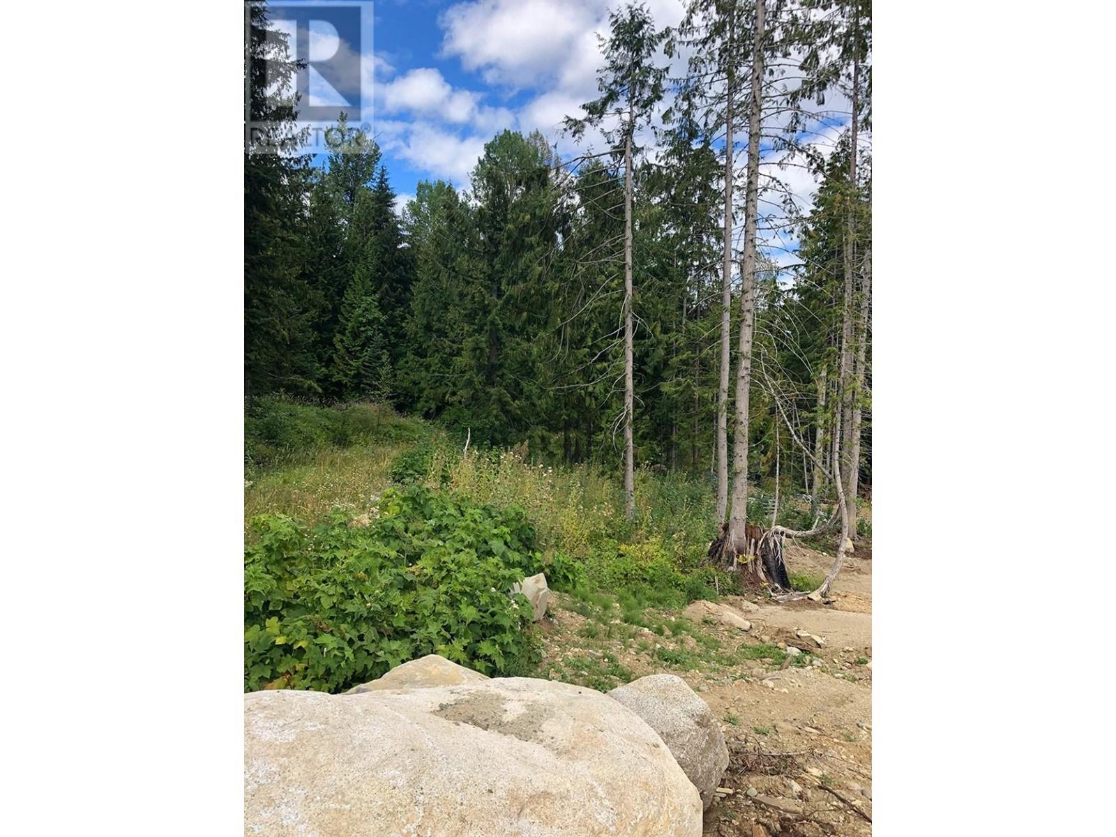 311 RIDGE Road, Rossland