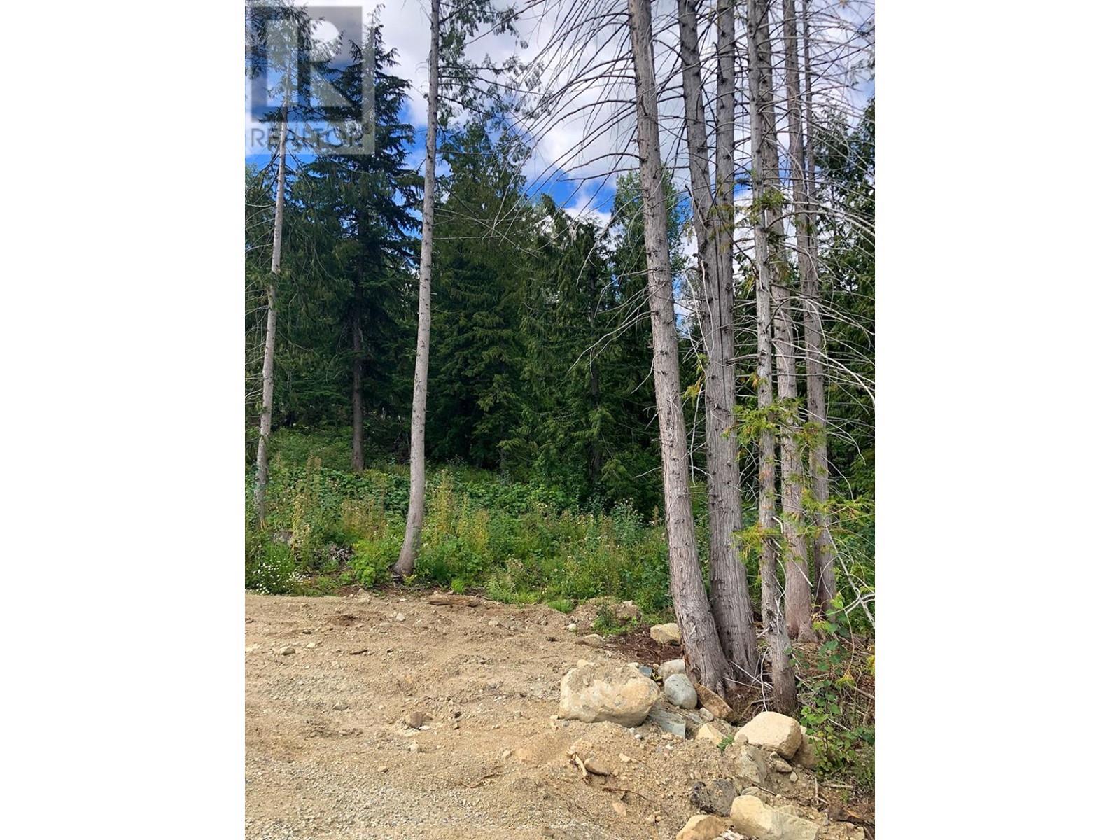 311 RIDGE Road, Rossland