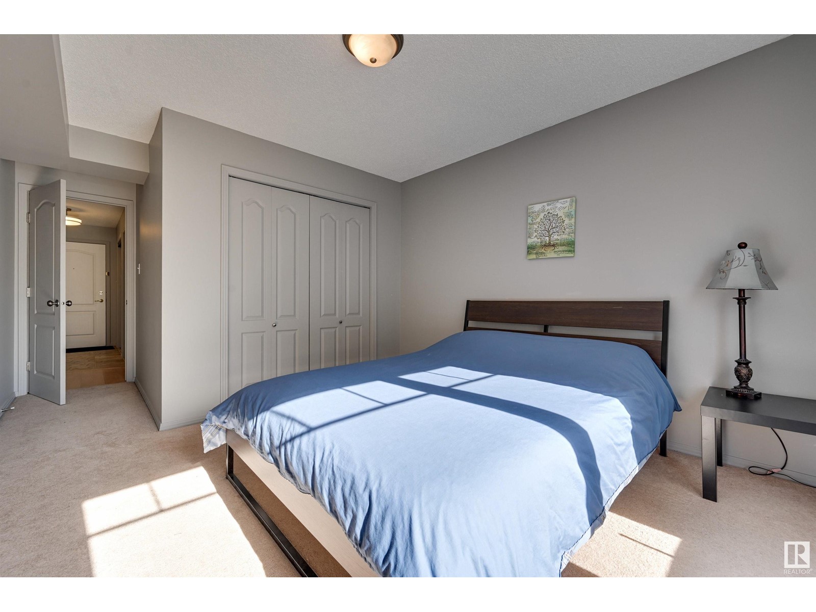 #305 8909 100 ST NW, Edmonton