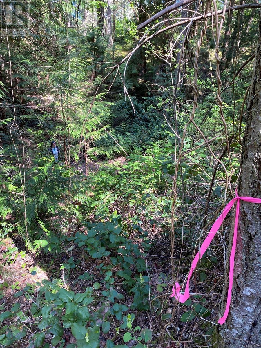 Photo 7 of Lot 36 Ruxton Island, Ruxton Island BC