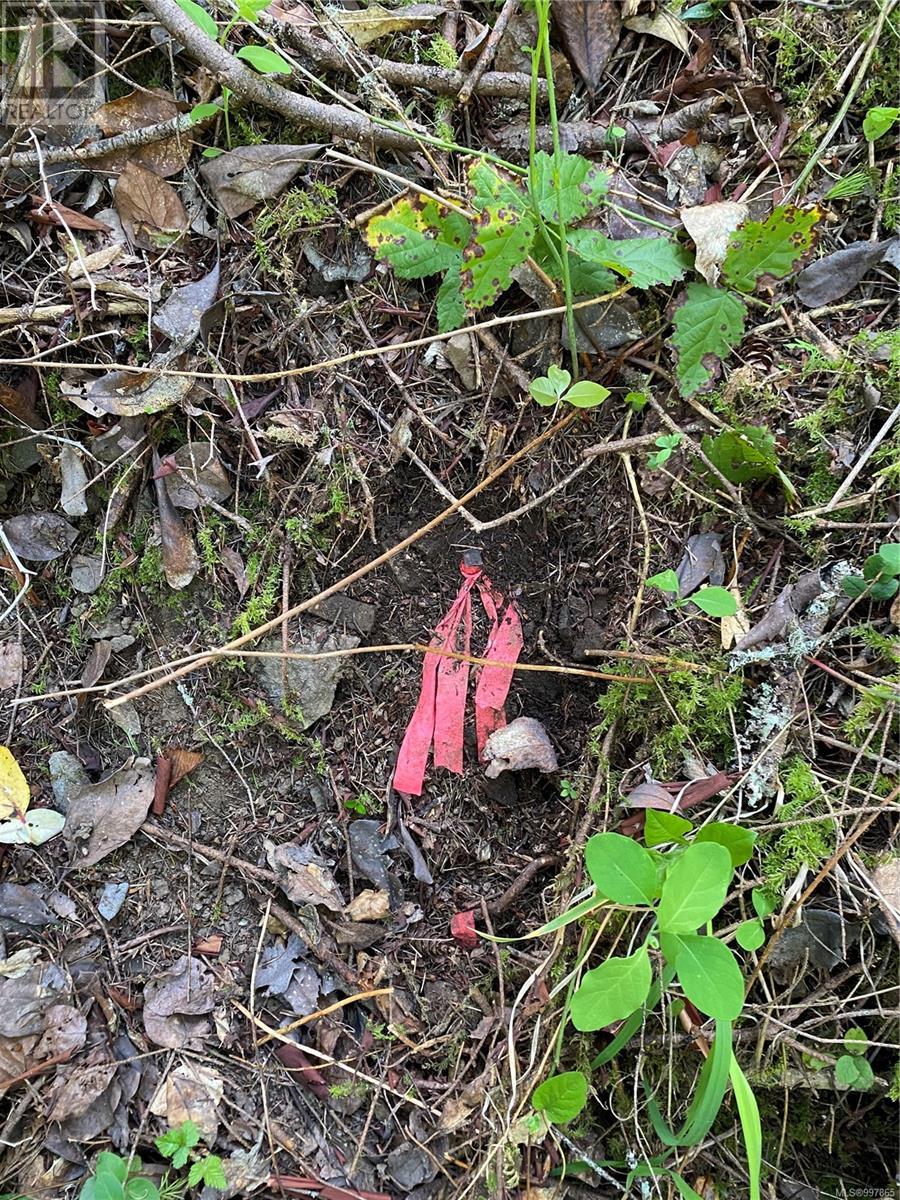 Photo 6 of Lot 36 Ruxton Island, Ruxton Island BC