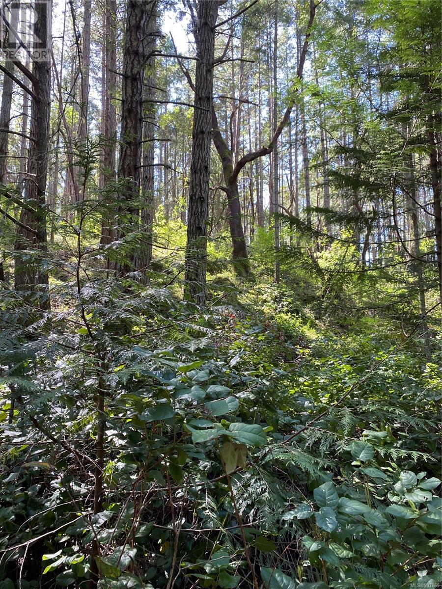 Photo 2 of Lot 36 Ruxton Island, Ruxton Island BC