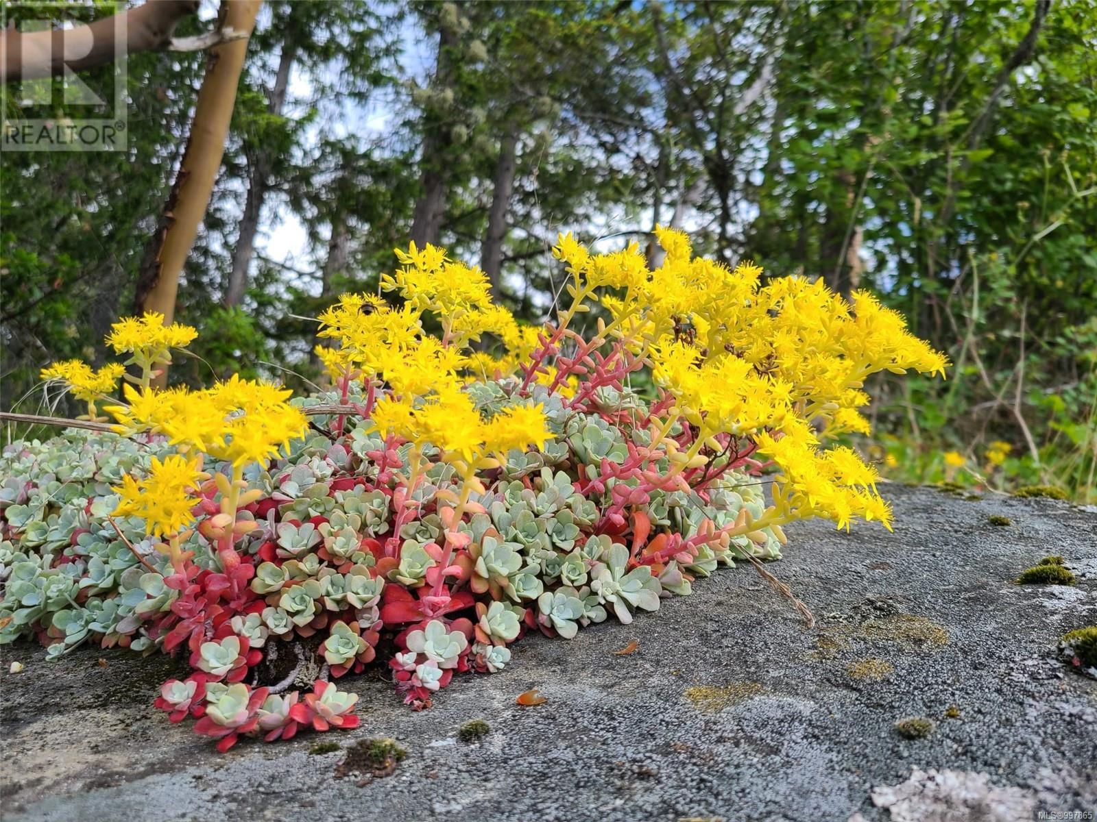 Photo 9 of Lot 36 Ruxton Island, Ruxton Island BC